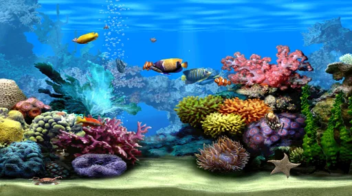 Marine Aquarium Screensaver