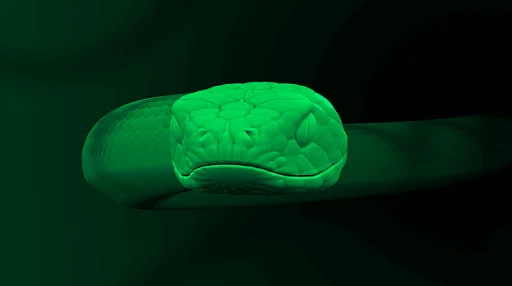 Green Snake Screensaver