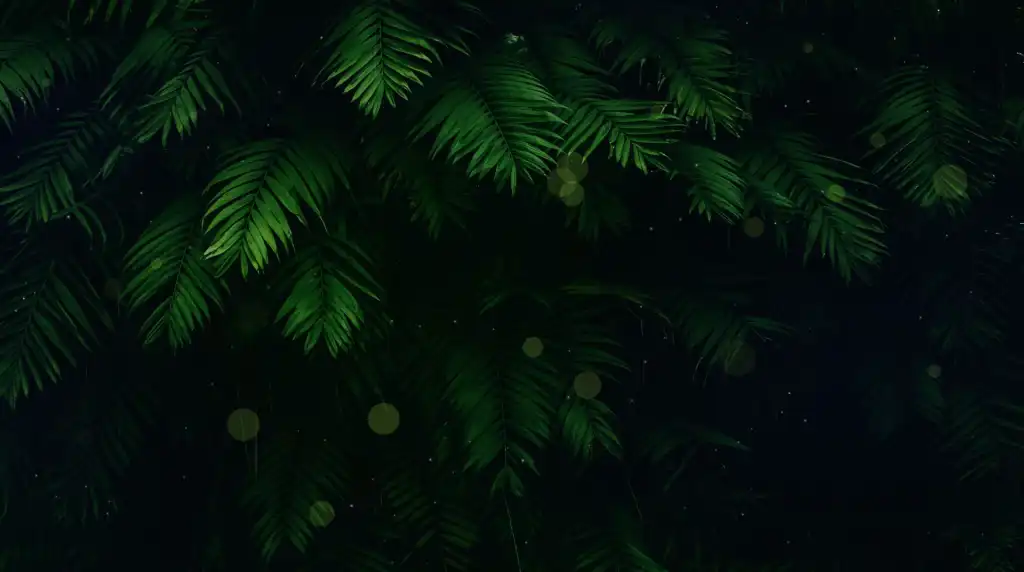 Vegetation Live Wallpaper