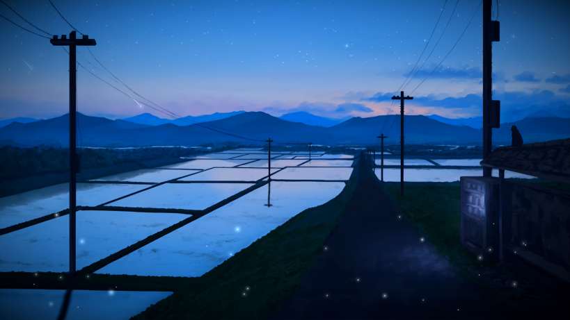 Rice Fields Live Wallpaper