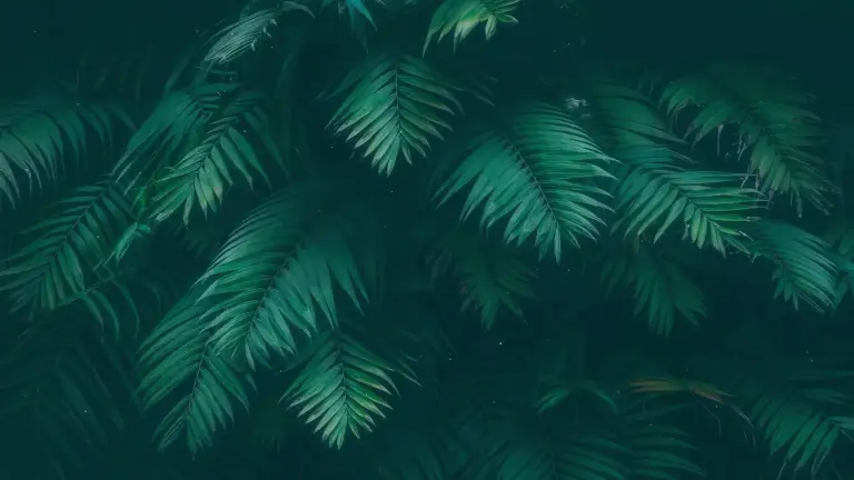 Tropical Green Leaves Live Wallpaper