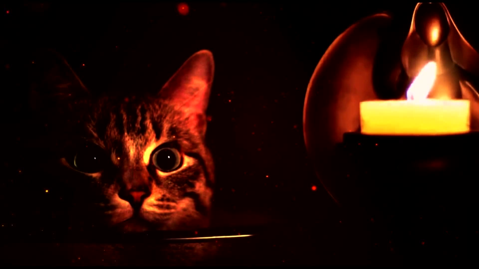 Cat and Candle live wallpaper