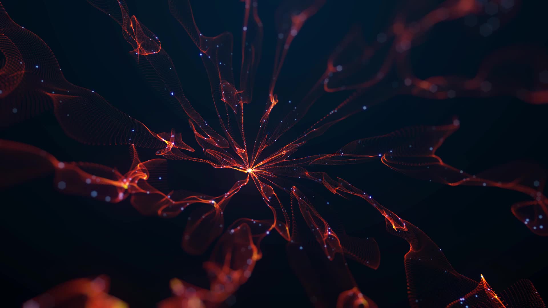 Original_1_2 live wallpaper