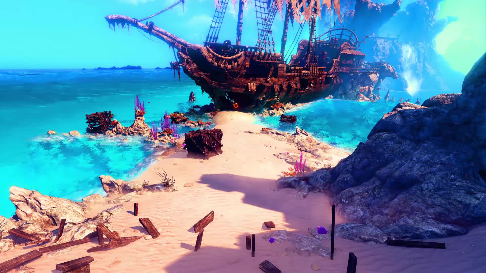 pirates cove