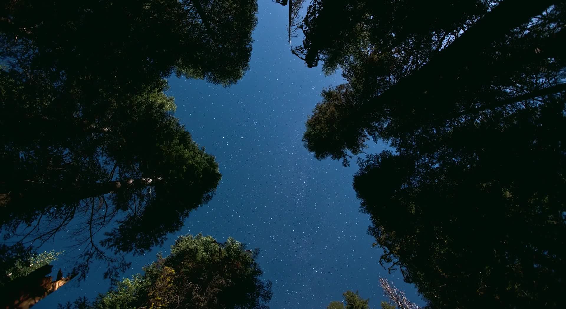 Nature Time Scape Hd Live Wallpaper