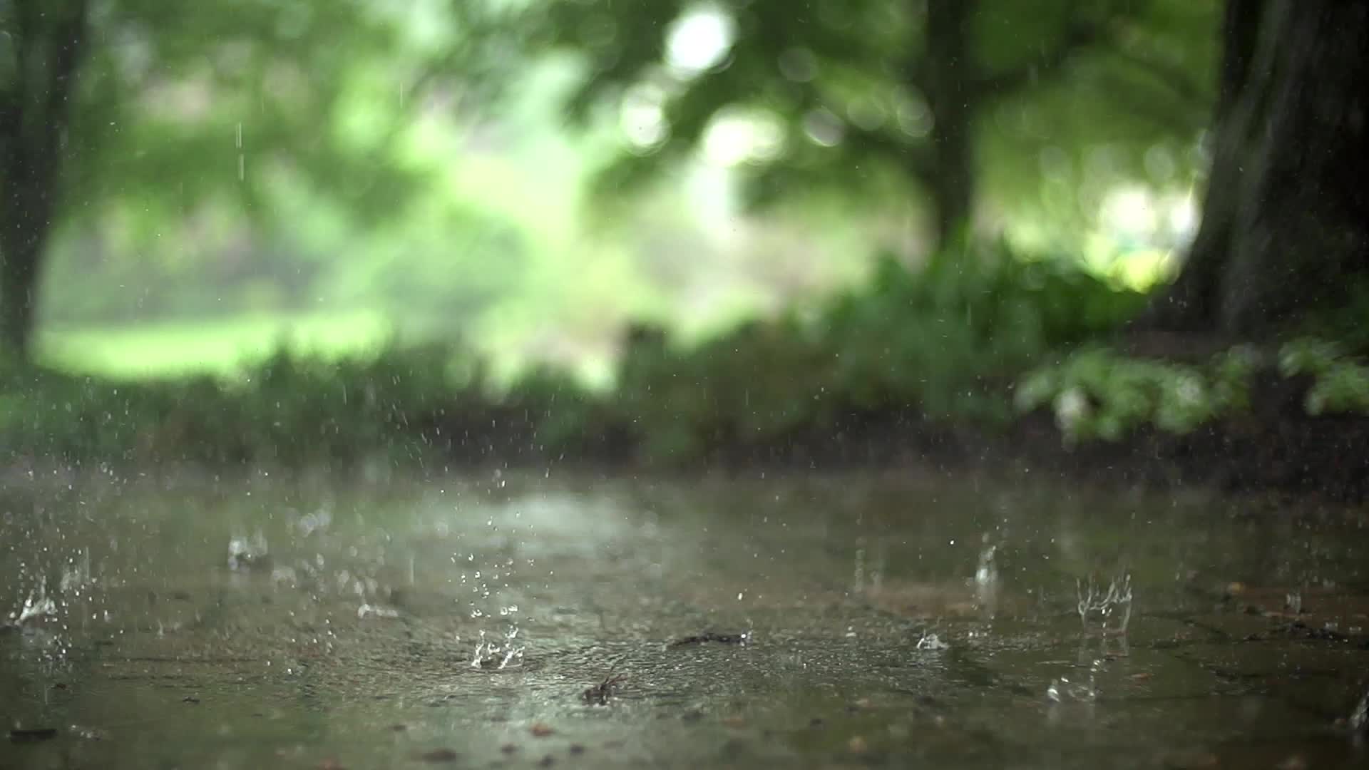 Raindrops Live Wallpaper