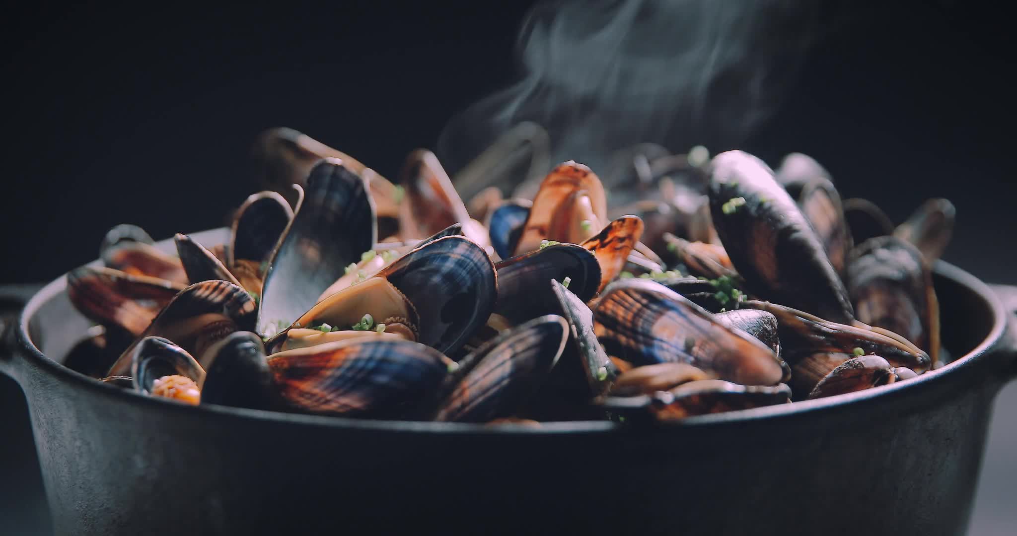 MOSSELEN HD Live Wallpaper live wallpaper