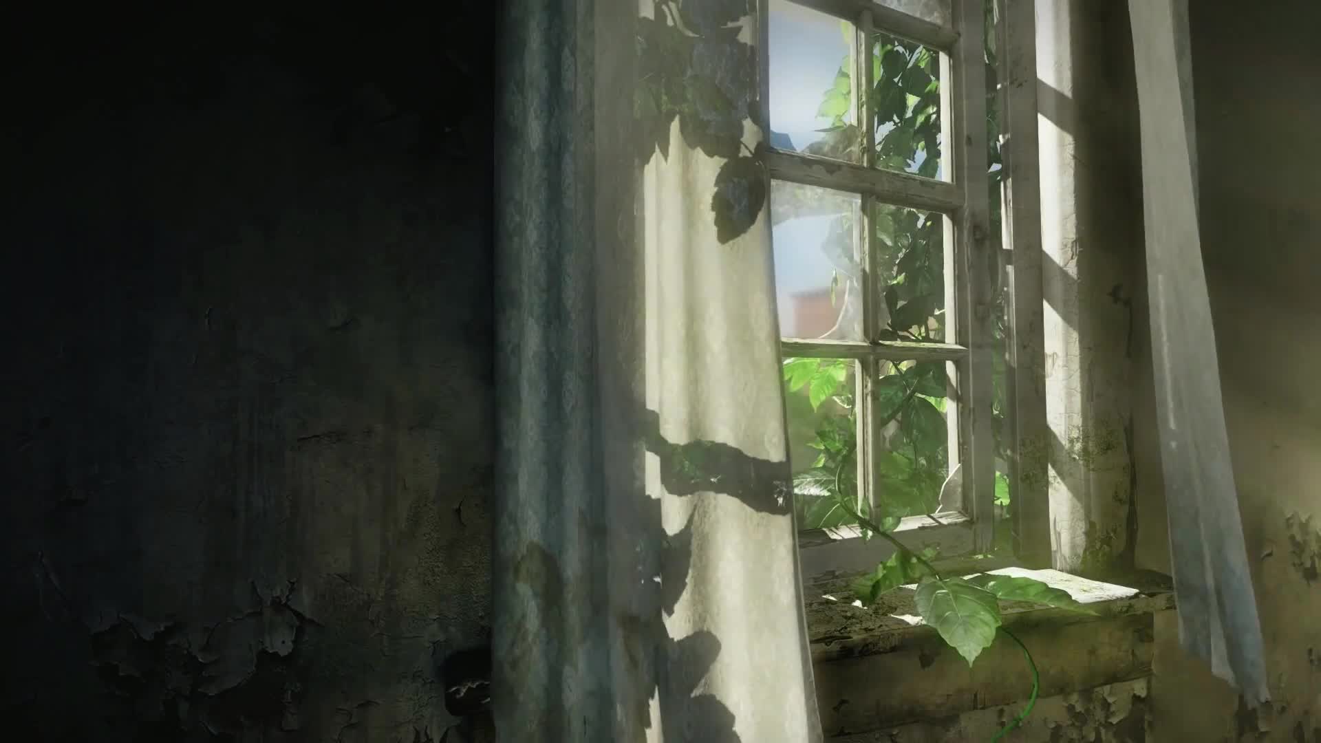 The Last of Us HDR 60fps fluid HD LIve Wallpaper