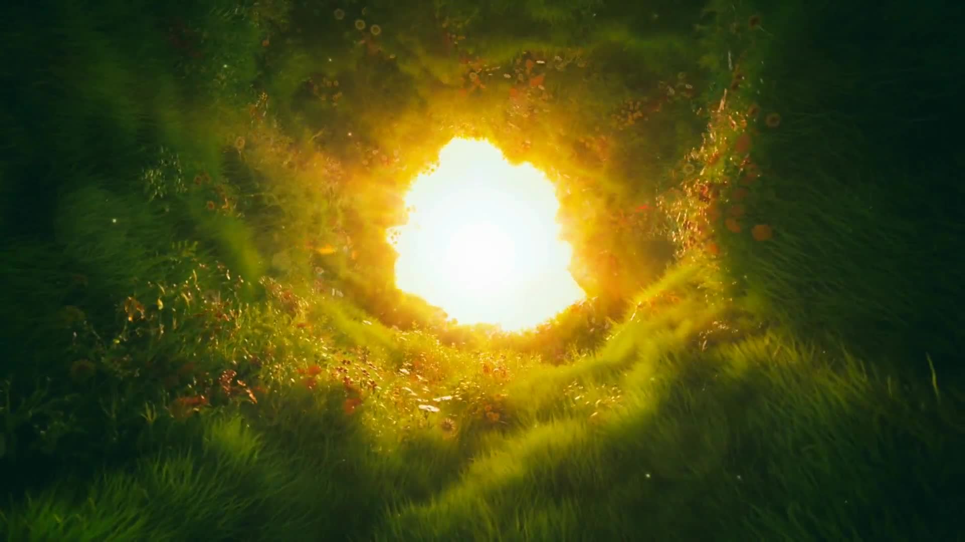 Holy Hole Live Video Wallpaper HD