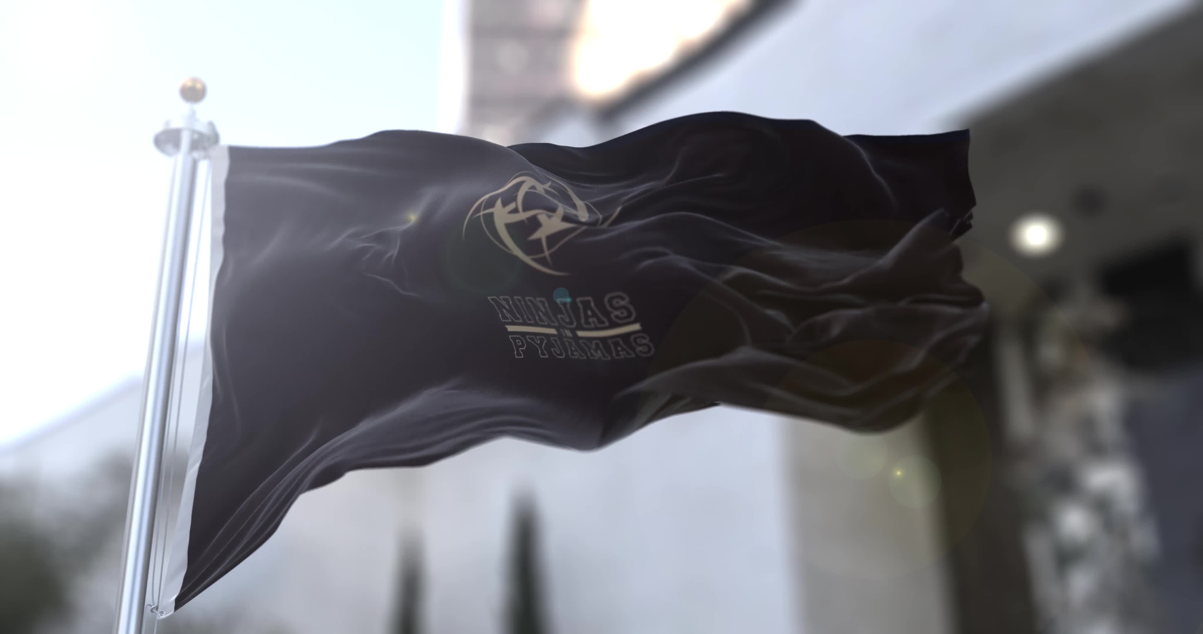 4k Ninjas In Pyjamas Flag Live Wallpaper Free