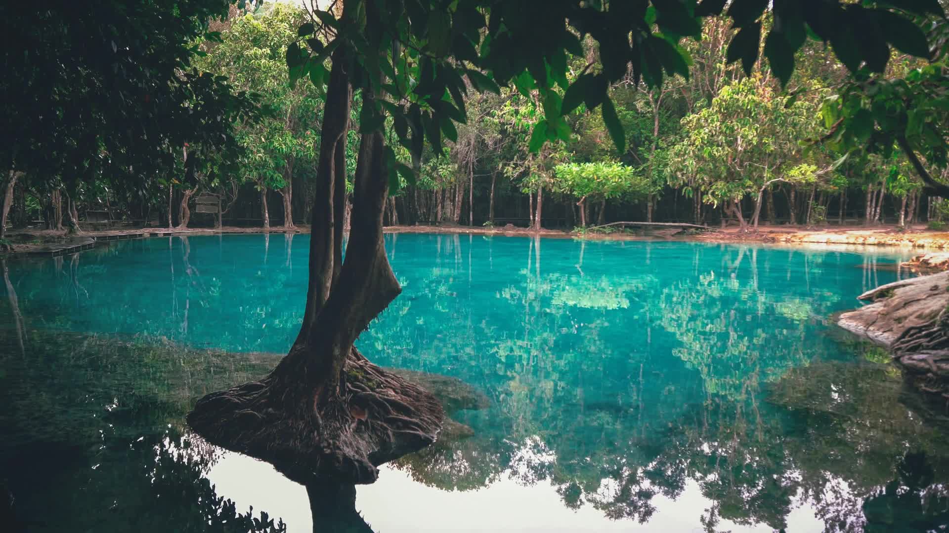 Emerald Pool Live Wallpaper HD