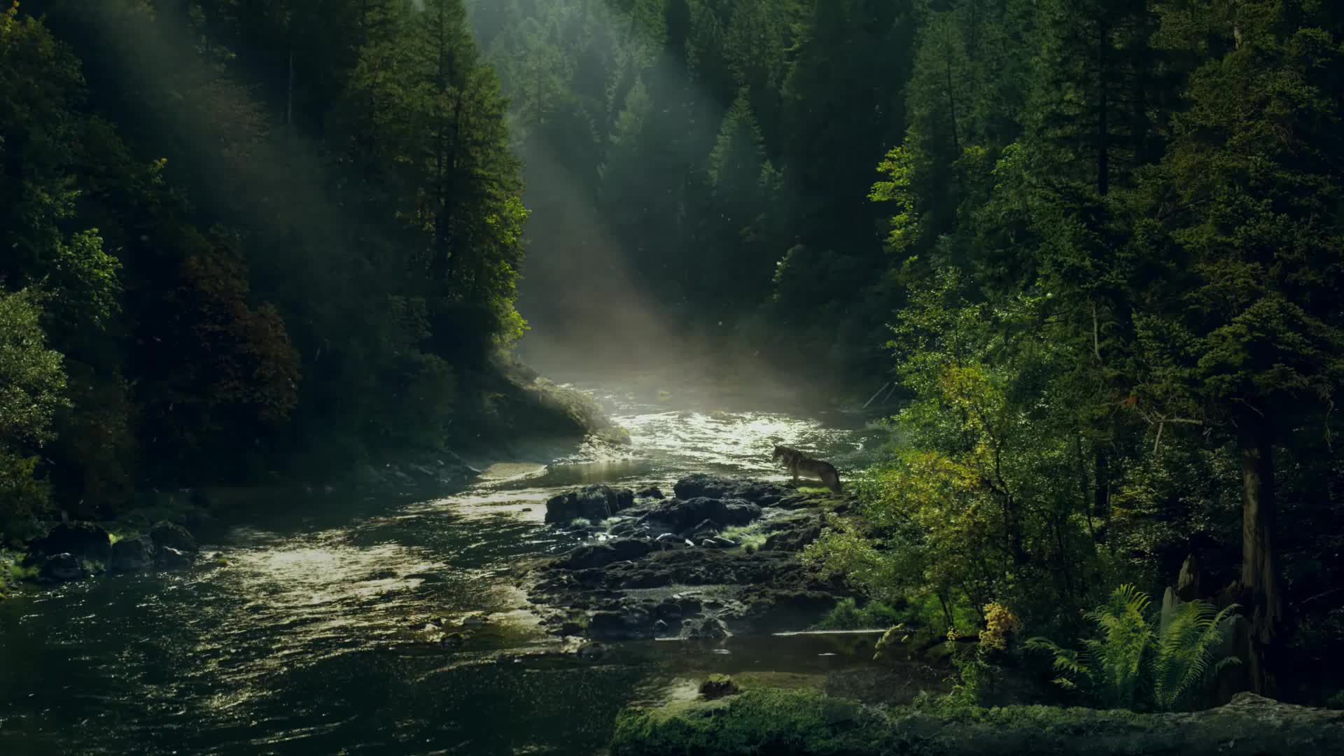 Farcry 5 Jacob Seed Hd Live Wallpaper Free