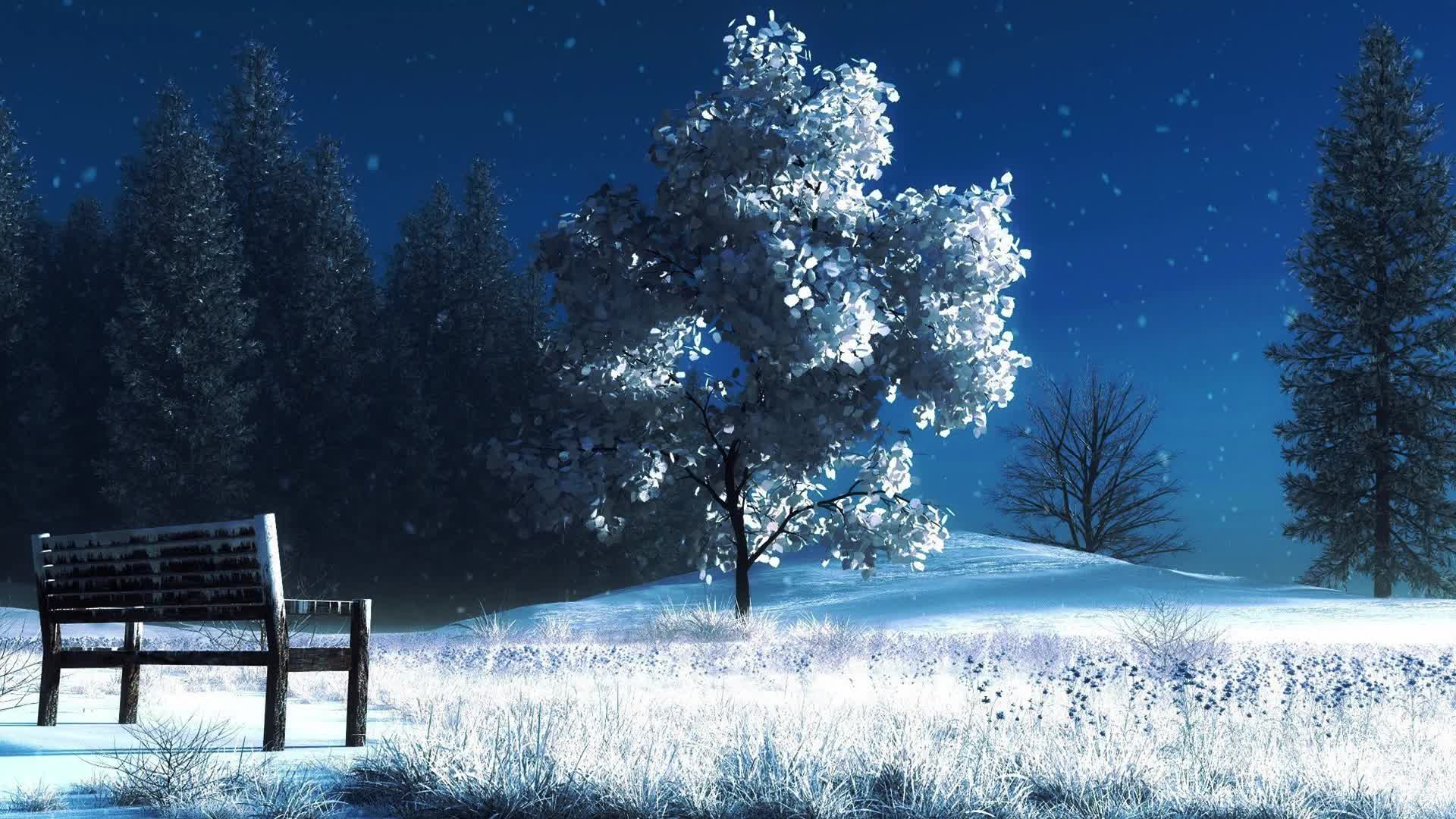 Park In Winter Snow Live Wallpaper