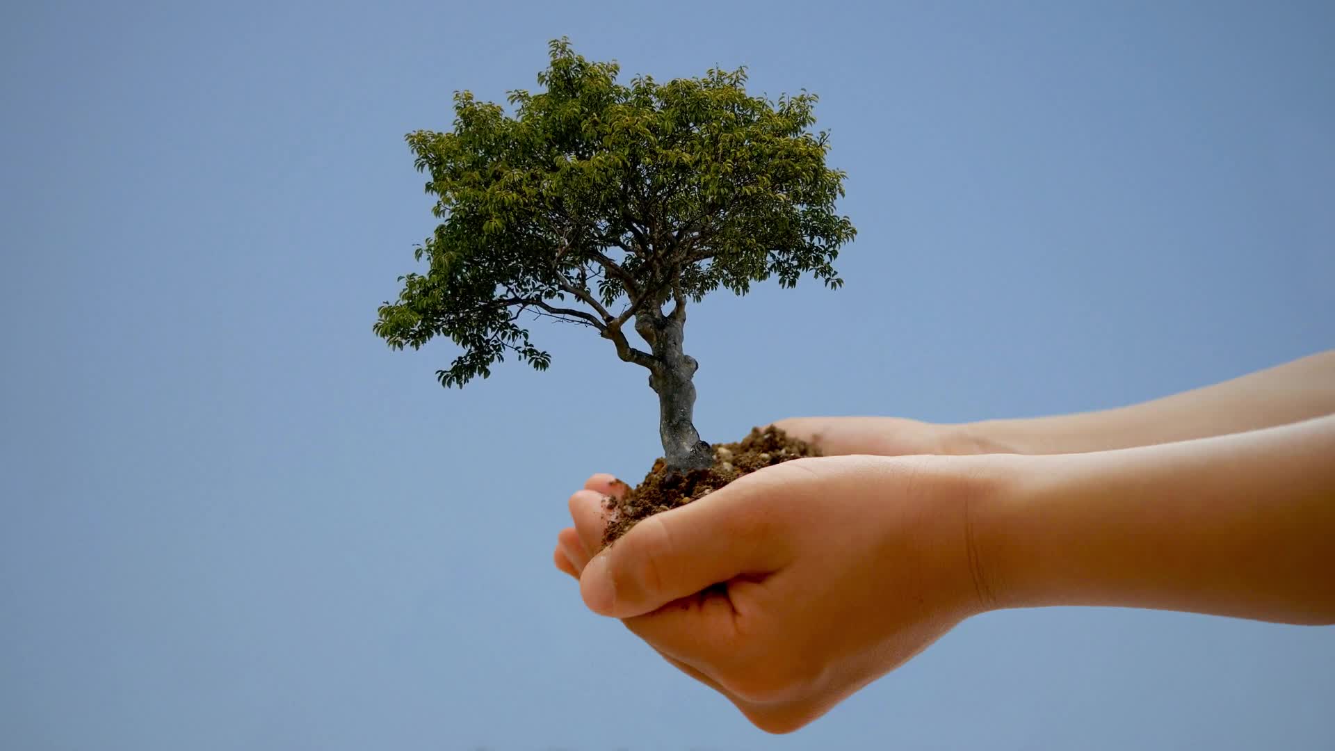 Happy Earth Day HD Live Wallpaper