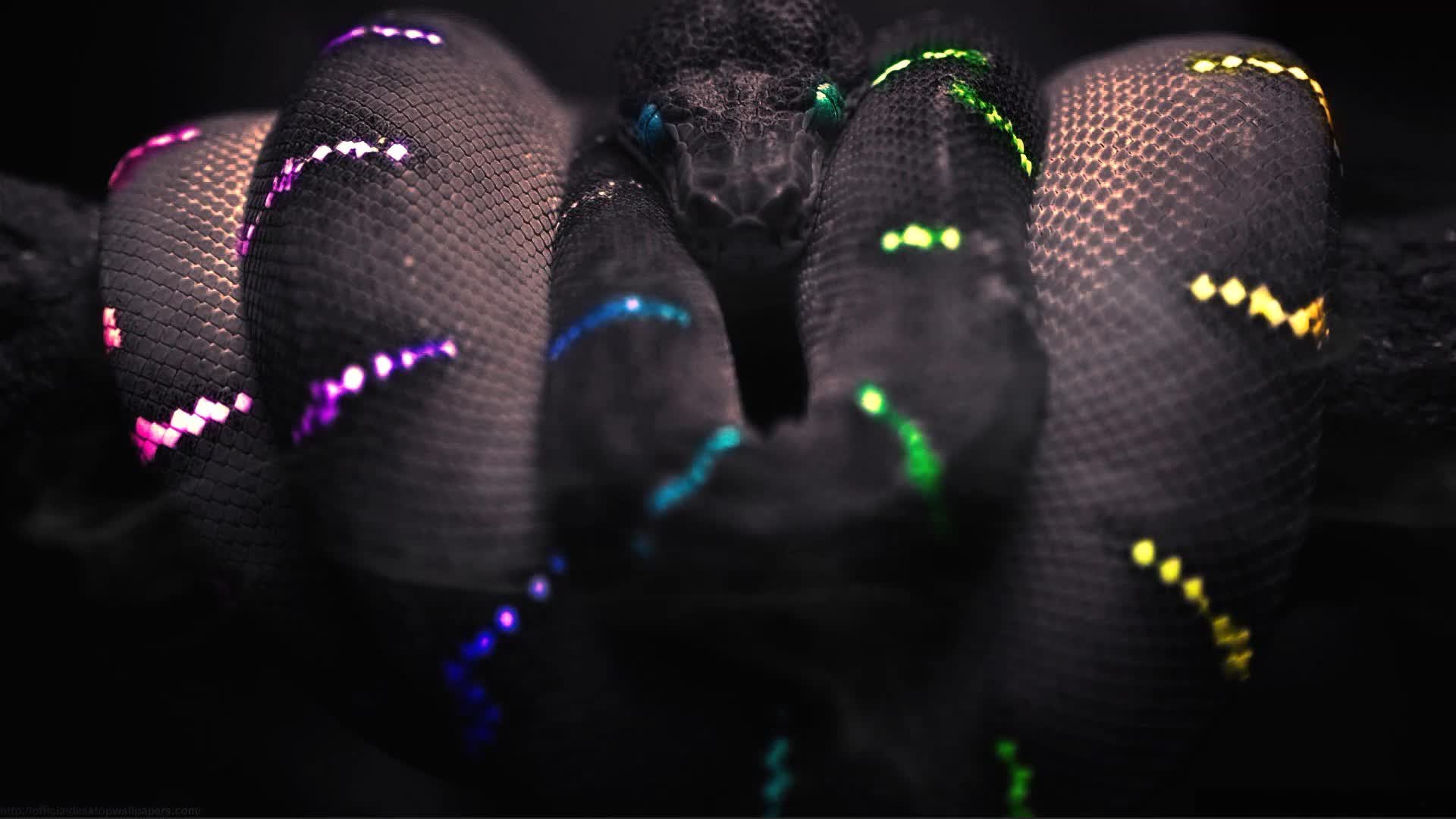 Black Rgb Snake Live Wallpaper