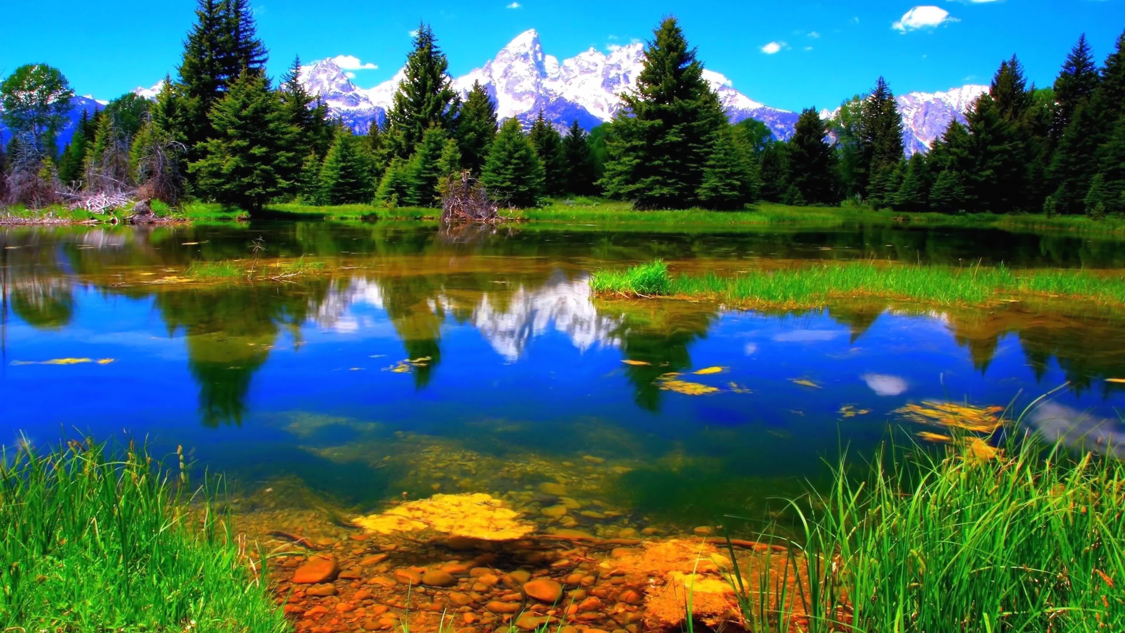 Landscape  River  Nature  4K  Live  Wallpaper