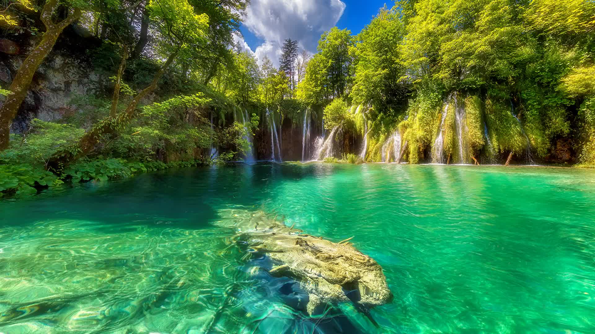 Plitvice  Croatia  Parks  Lake  Waterfall  Live  Wallpaper