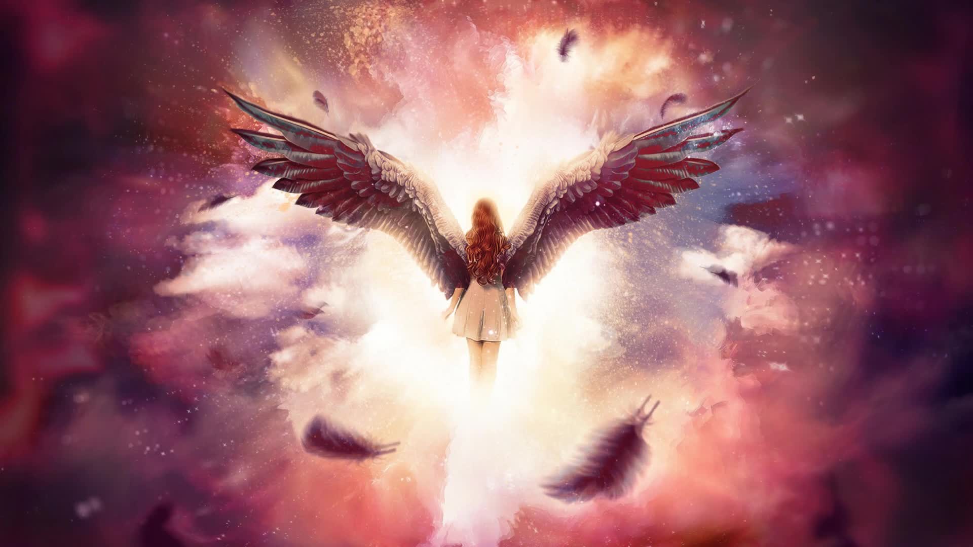 Angel  Fairy  Girly  Dream  Live  Wallpaper