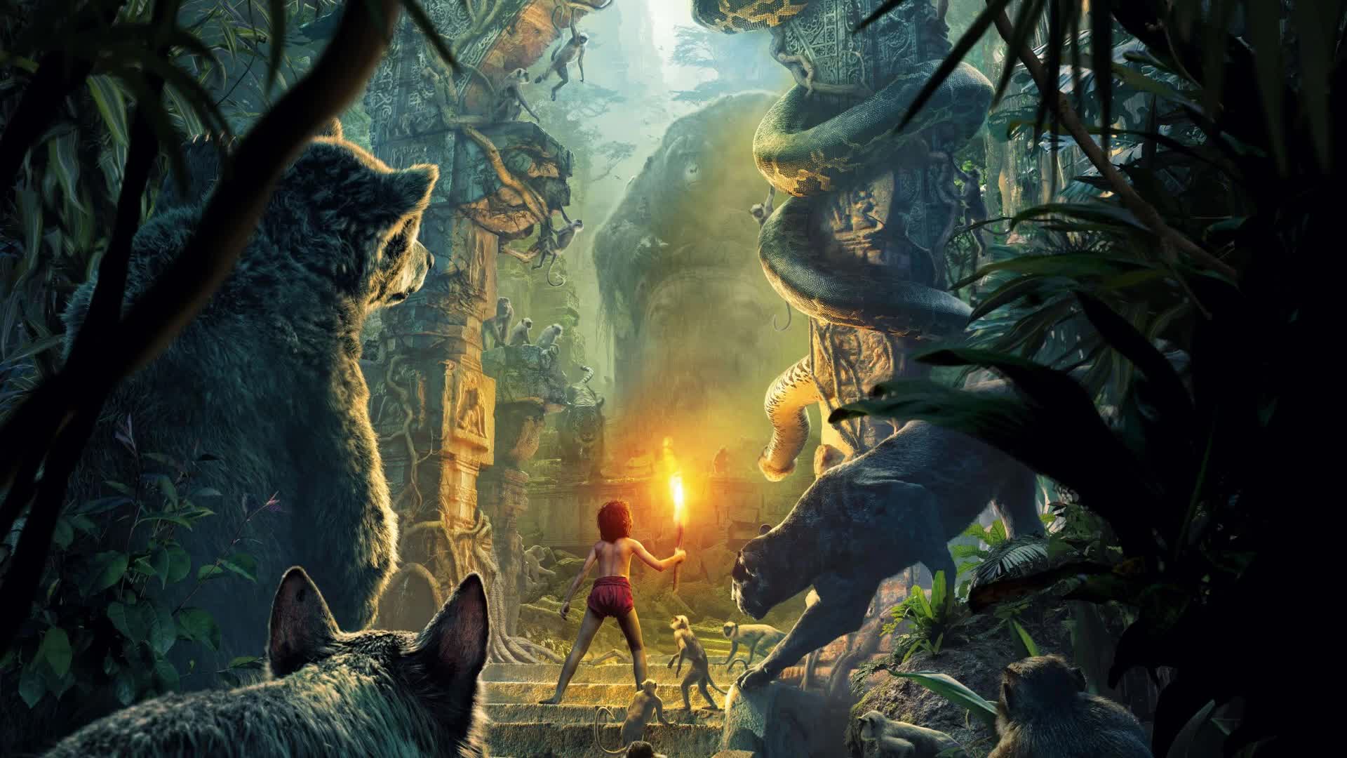 Jungle  Bbook  Movie  Live  Wallpaper