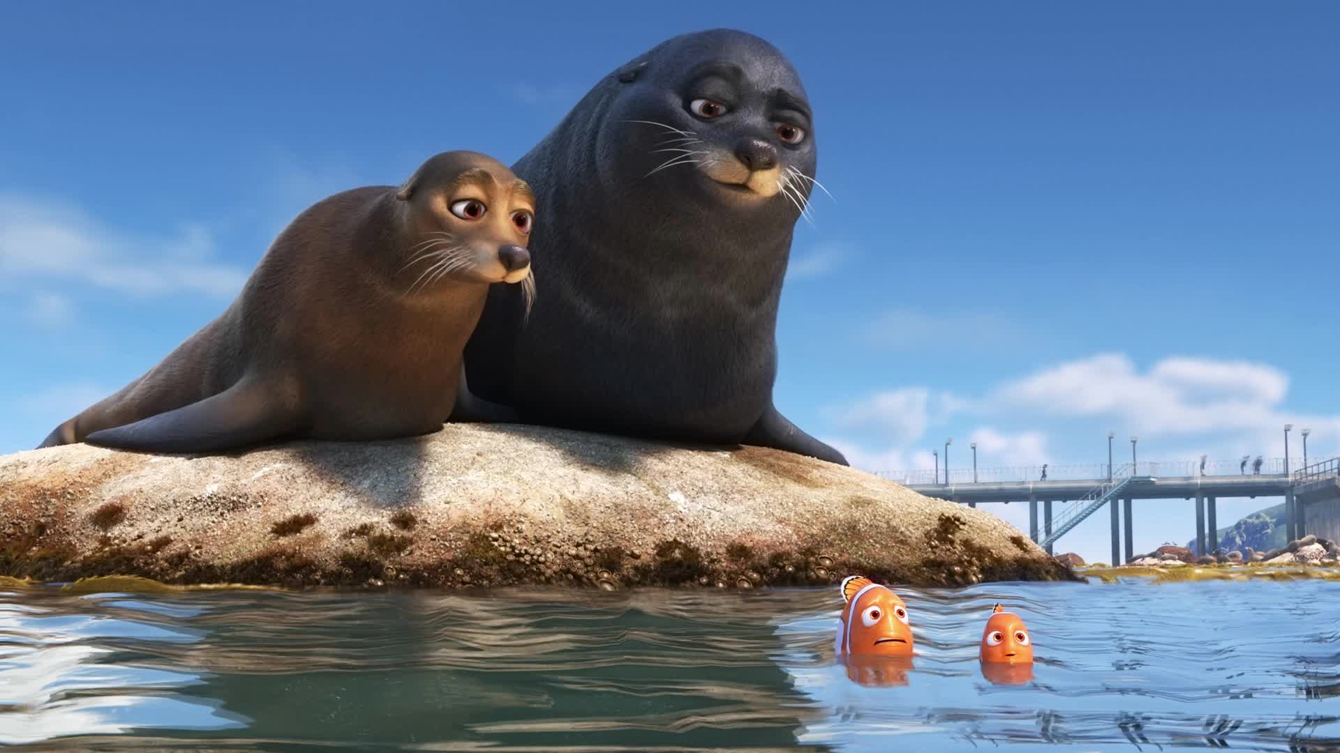 Sea  Lions  Marlin  Nemo  Finding  Dory  Live  Wallpaper