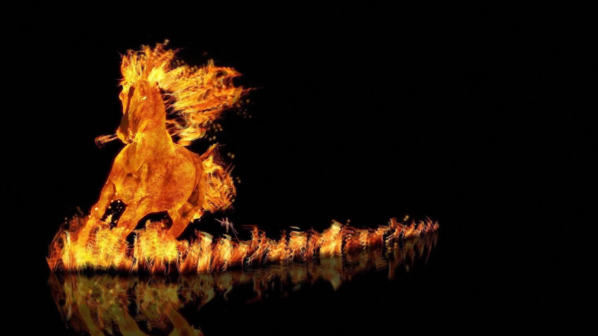 Fire  Horse  Artwork  Live  Wallpaper