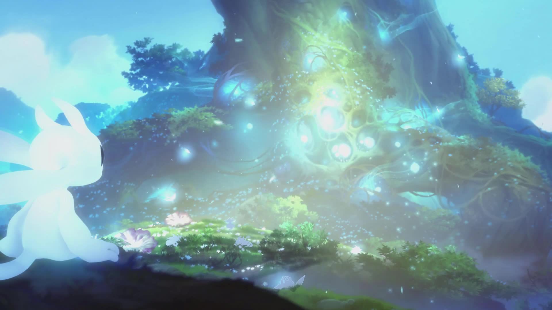 Ori  And  The  Blind  Forest  Cut  Live  Wallpaper live wallpaper