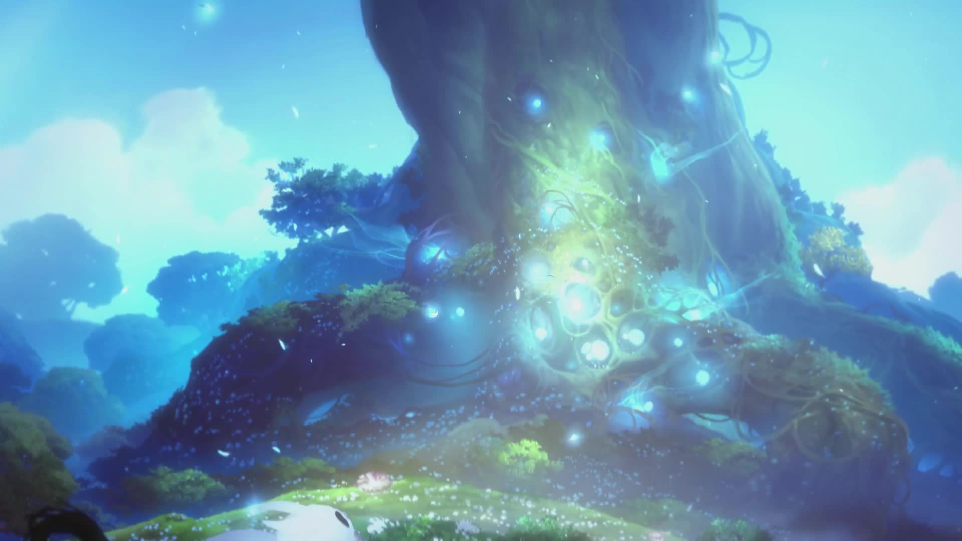 Ori  And  The  Blind  Forest  Live  Wallpaper live wallpaper