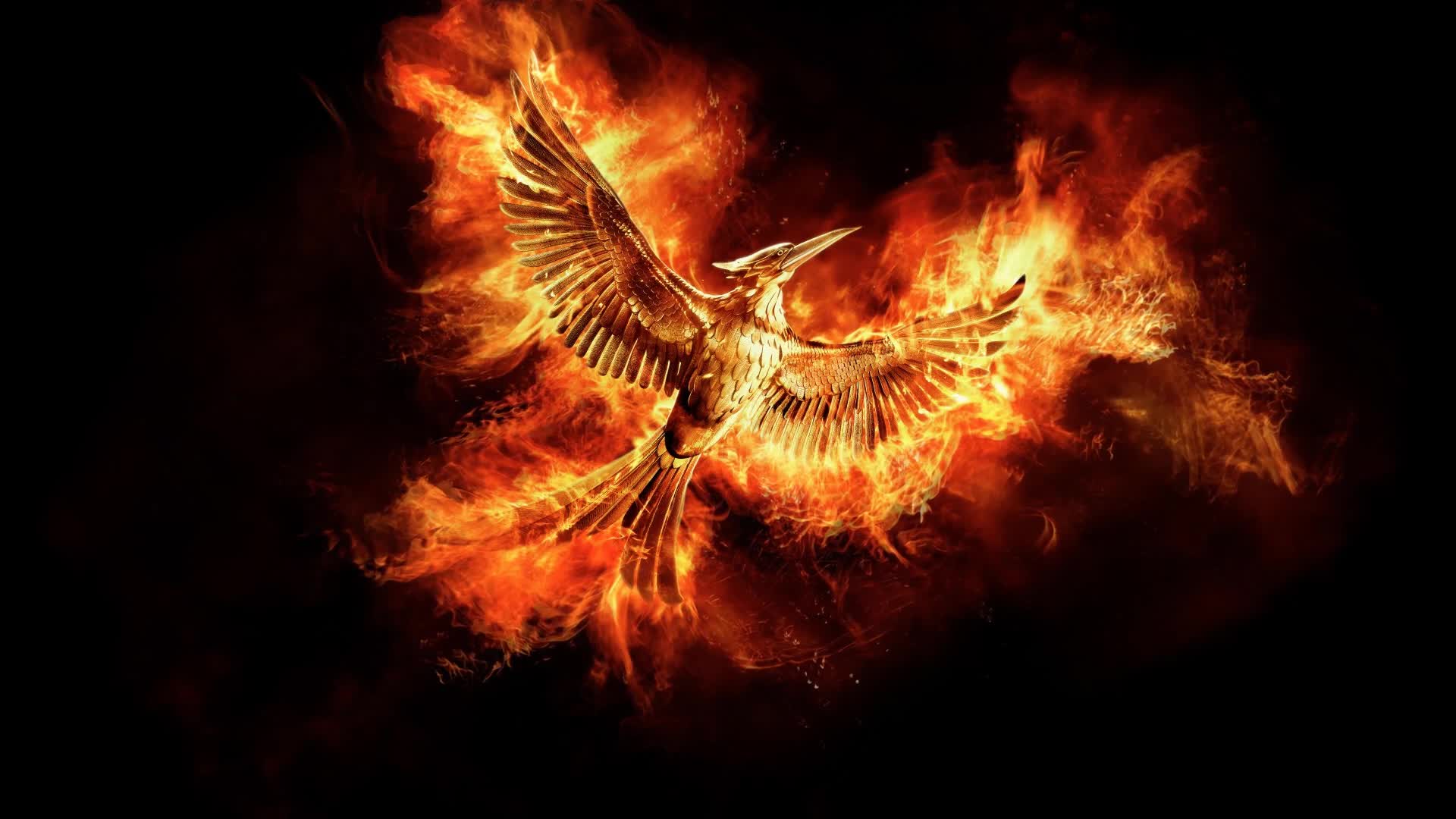 The  Hunger  Games  Mockingjay  Live  Wallpaper