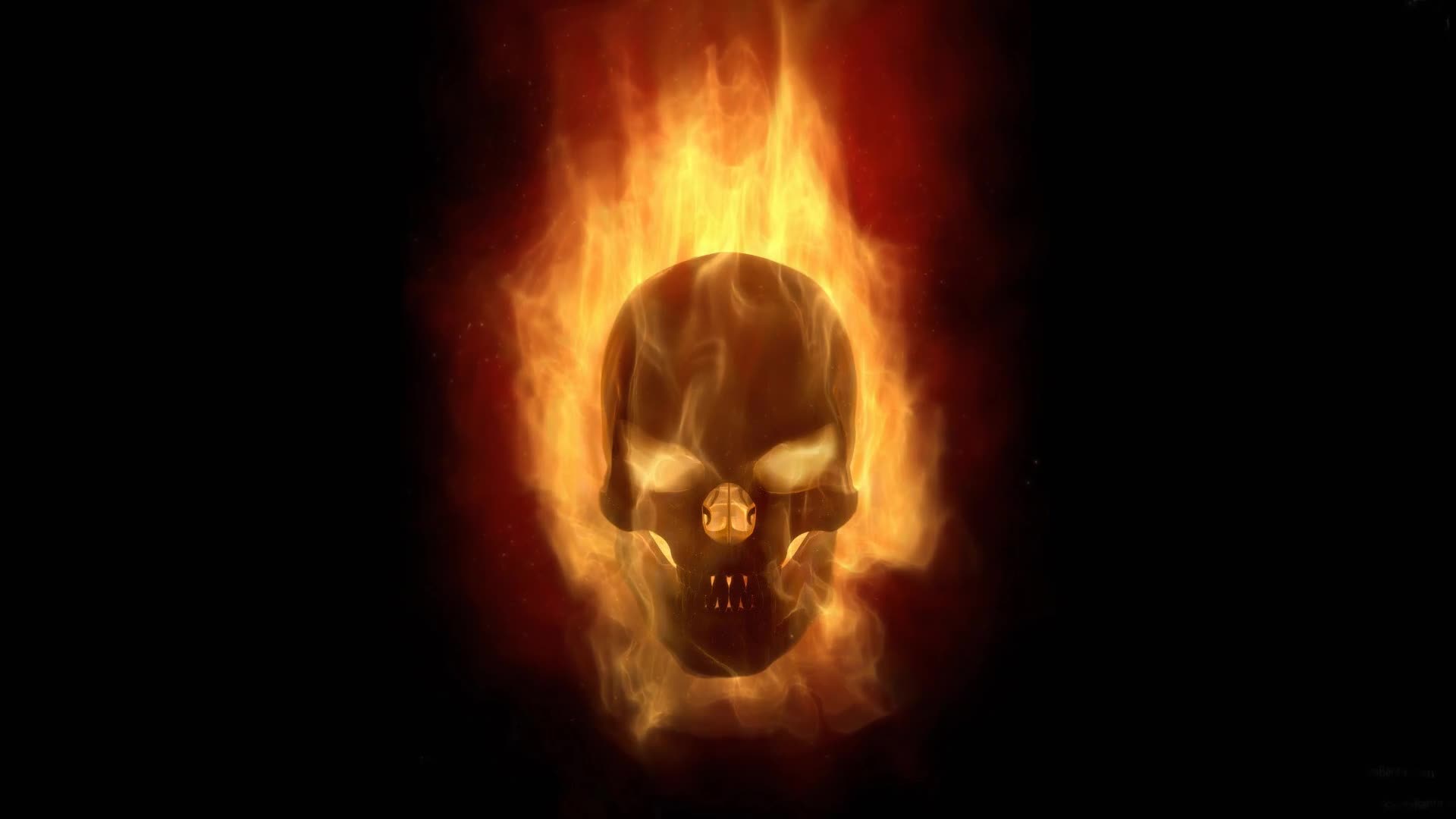 Burning  Skull  Fantasy  Live  Wallpaper