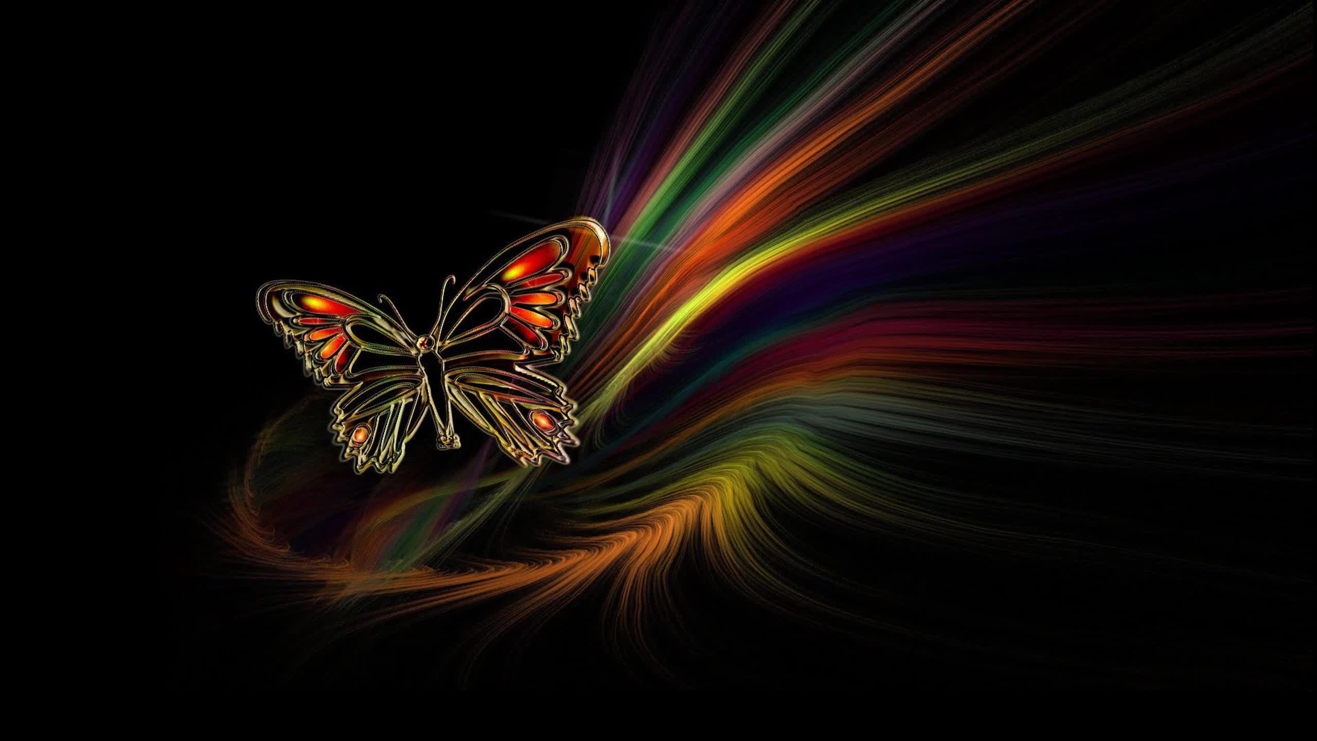Colorful  Abstract  Butterfly  2K  Live  Wallpaper
