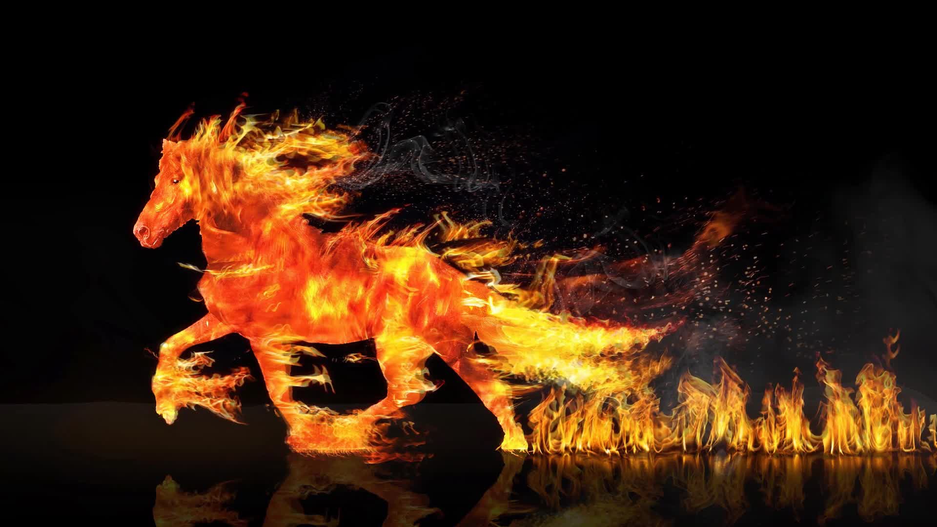 Fire  Horse  Fantasy  Live  Wallpaper