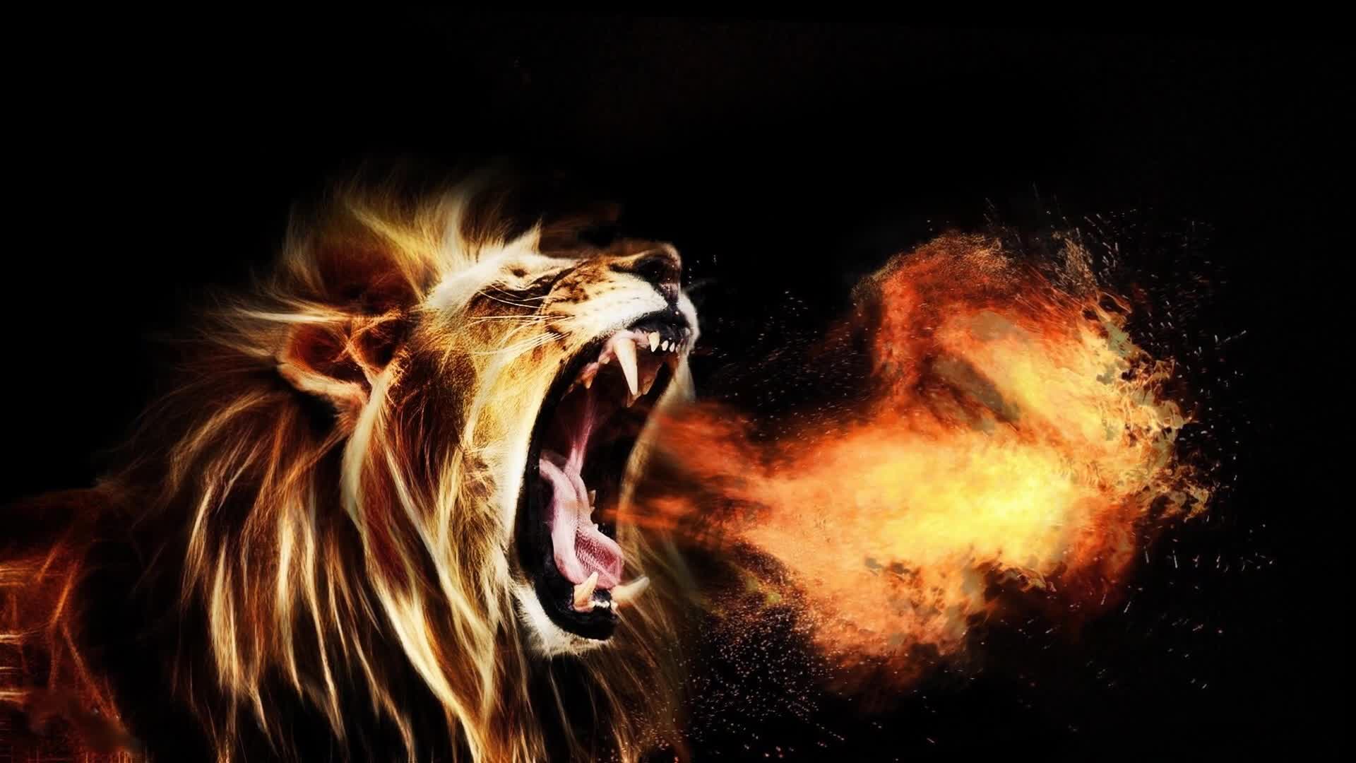 Roaring  Lions  Fire  Fantasy  Live  Wallpaper