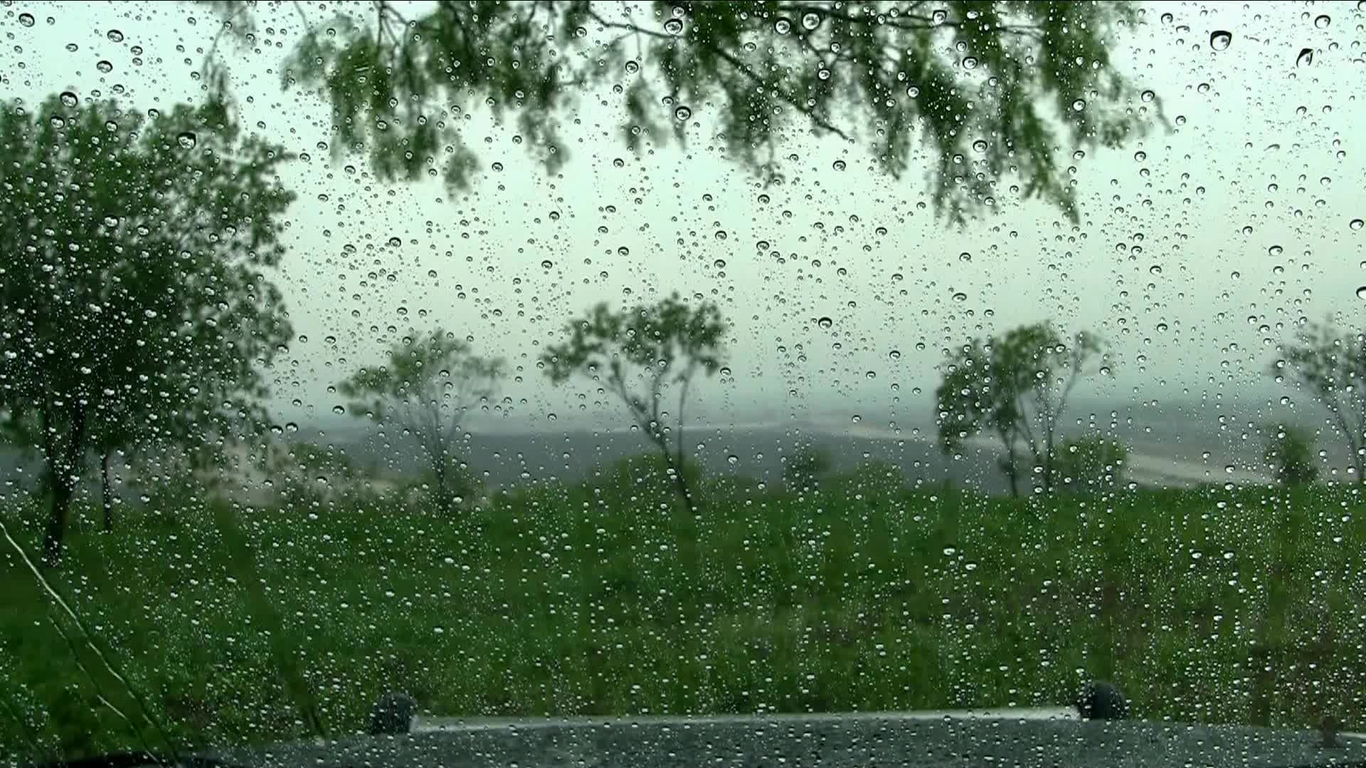 Rain on Window Relax Live Wlallpaper