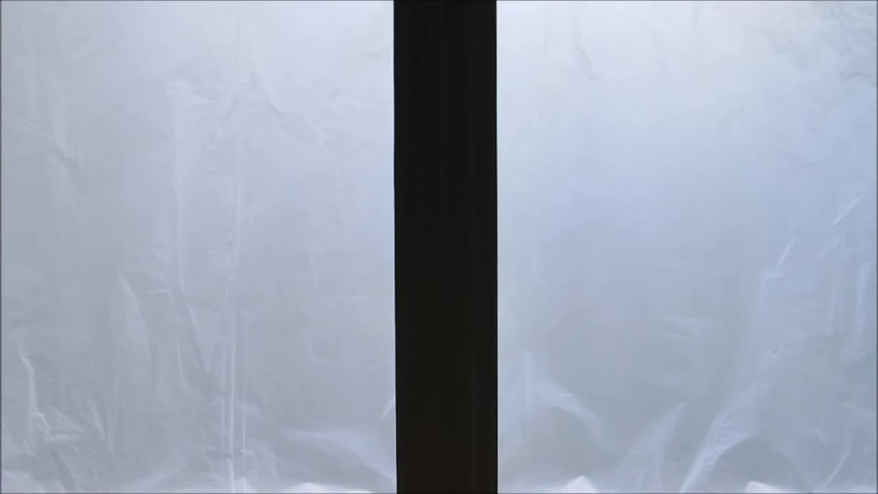 Zombie Window Live Wallpaper Free