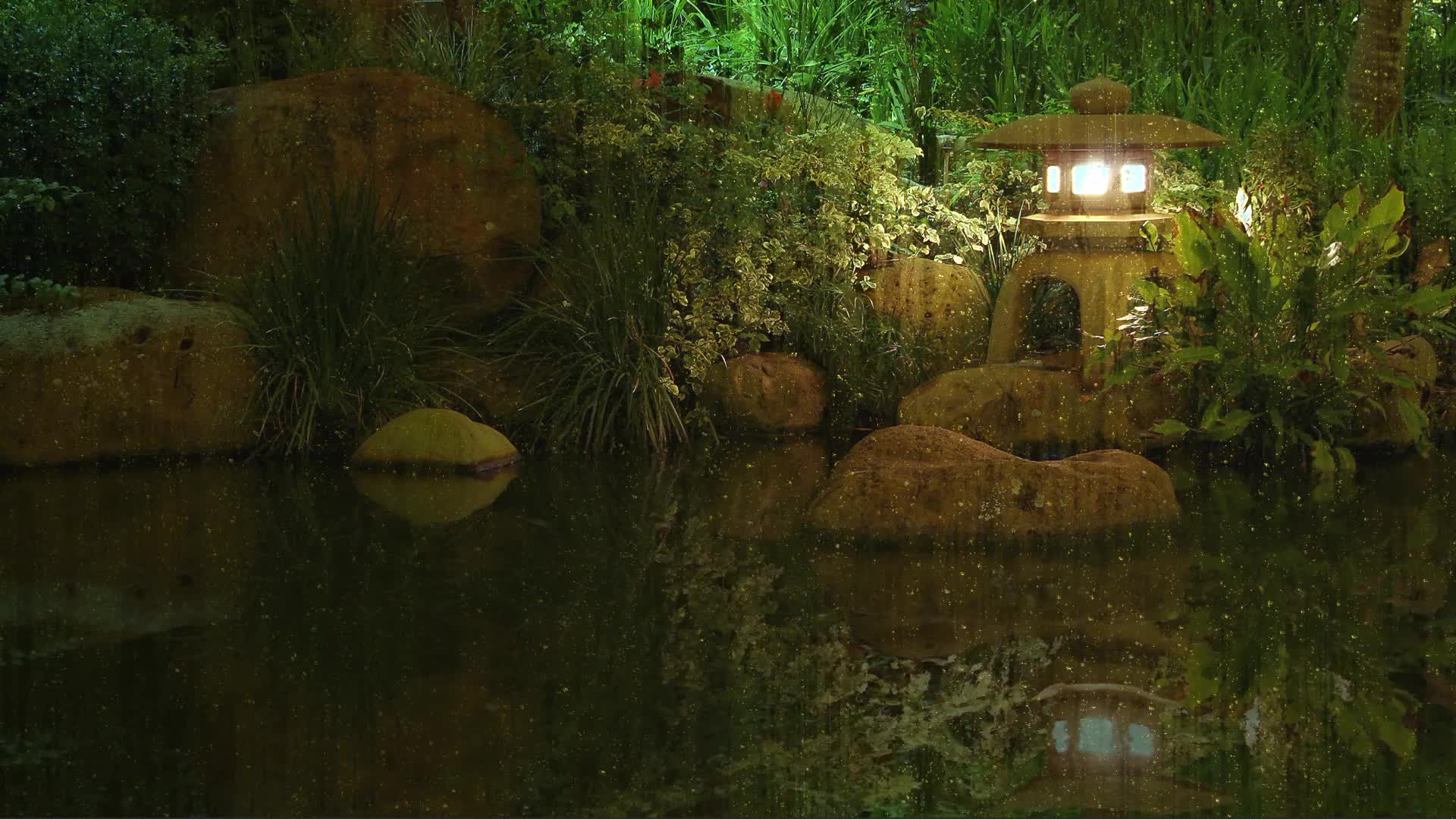 Lantern Showers Hd Live Wallpaper