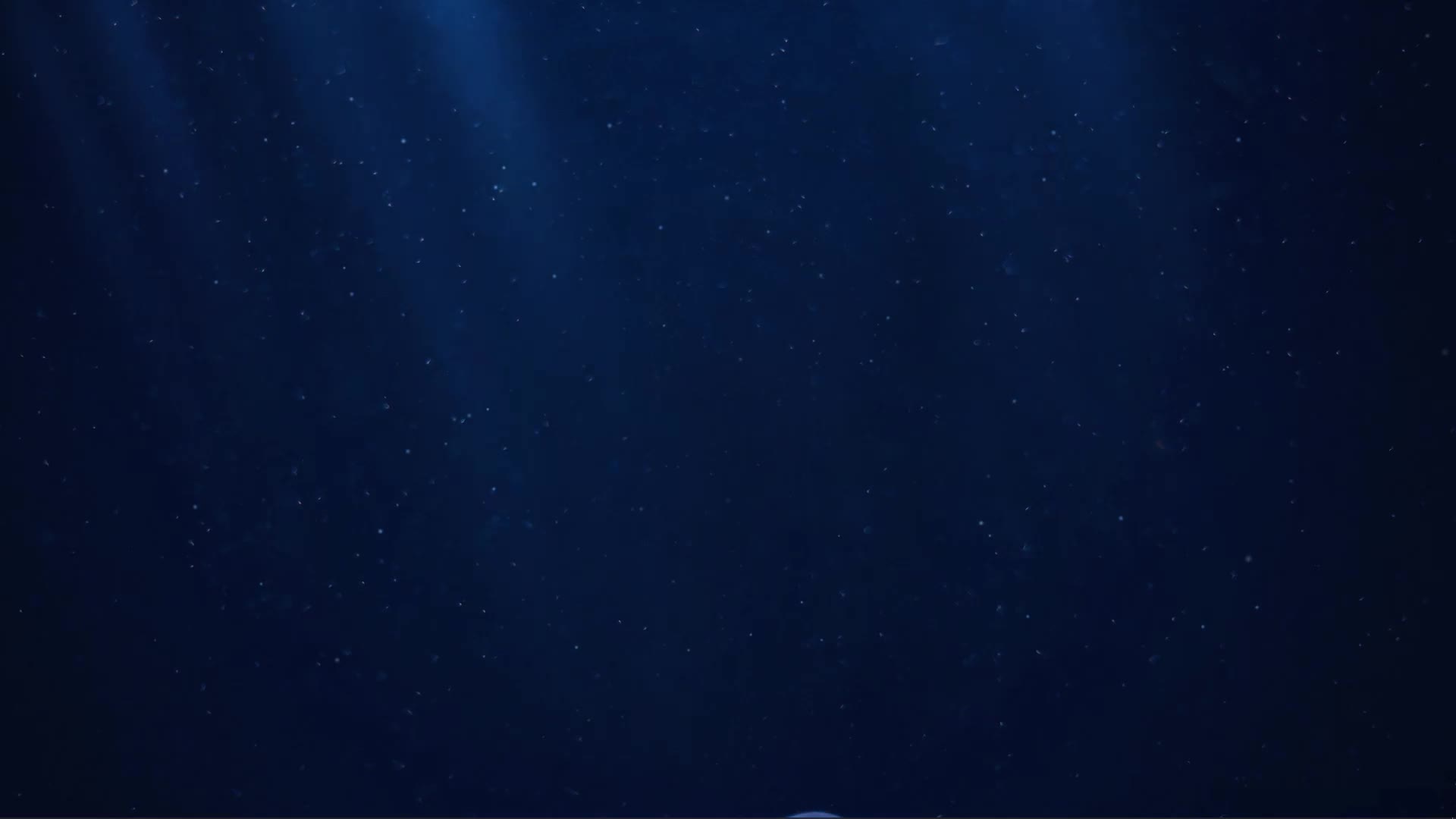 Relaxing Ocean JellyFish HD Live Wallpaper