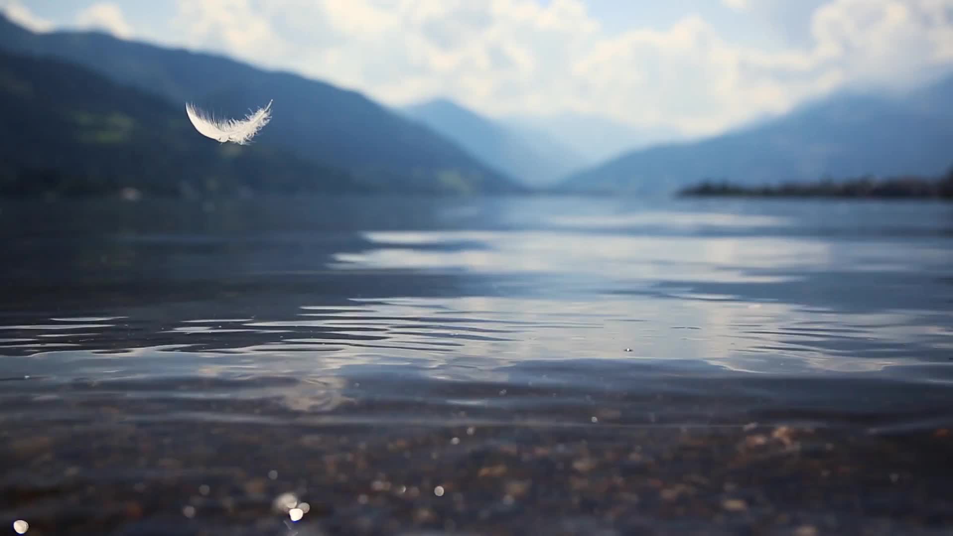 Manchmal Ist Es Federleicht HD Live Wallpaper