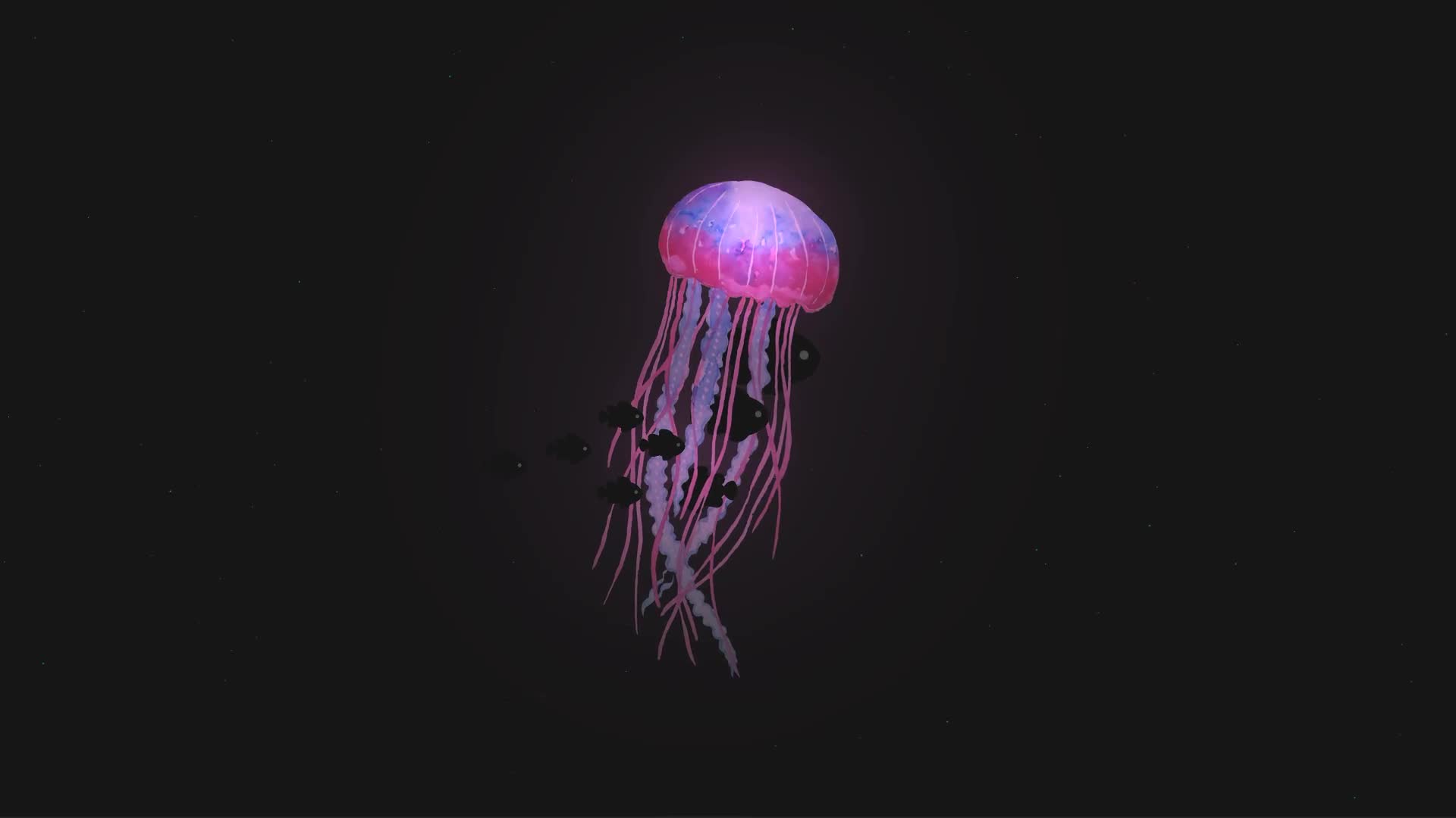 Jellyfish And Black Fish Swimming Live Wallpaper