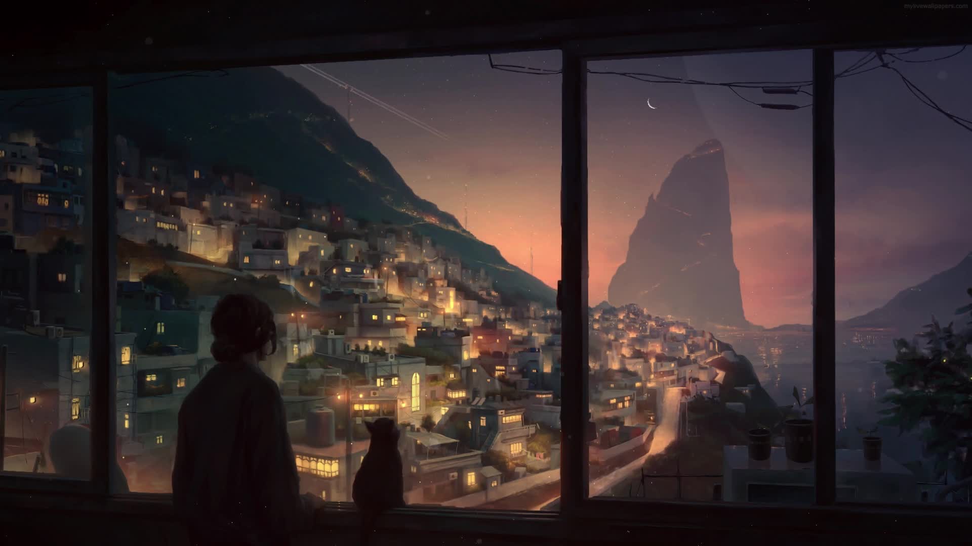 PC Animated Chilling with My Cat Live Wallpaper