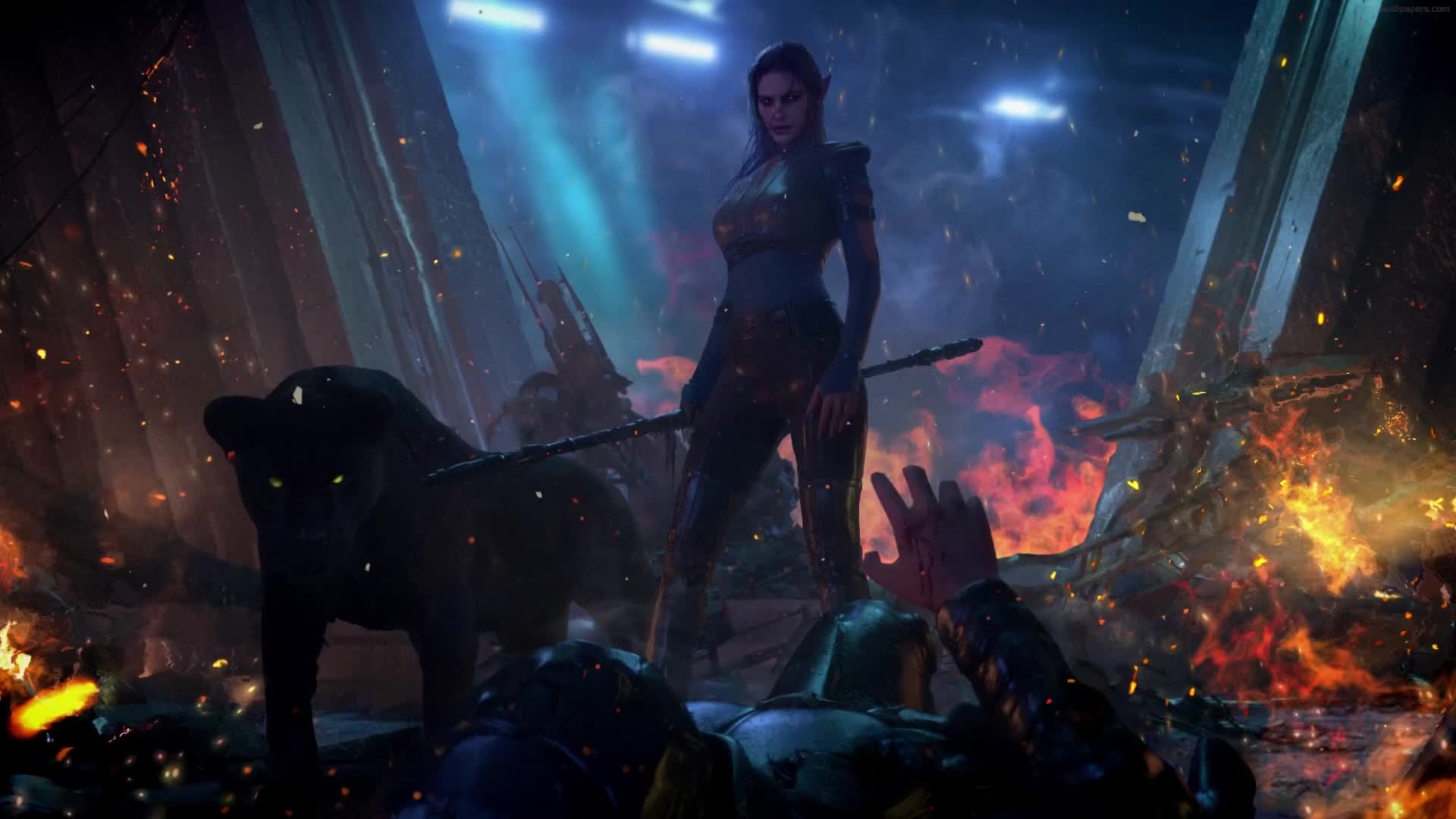 PC Animated Elf Girl Warrior Live Wallpaper