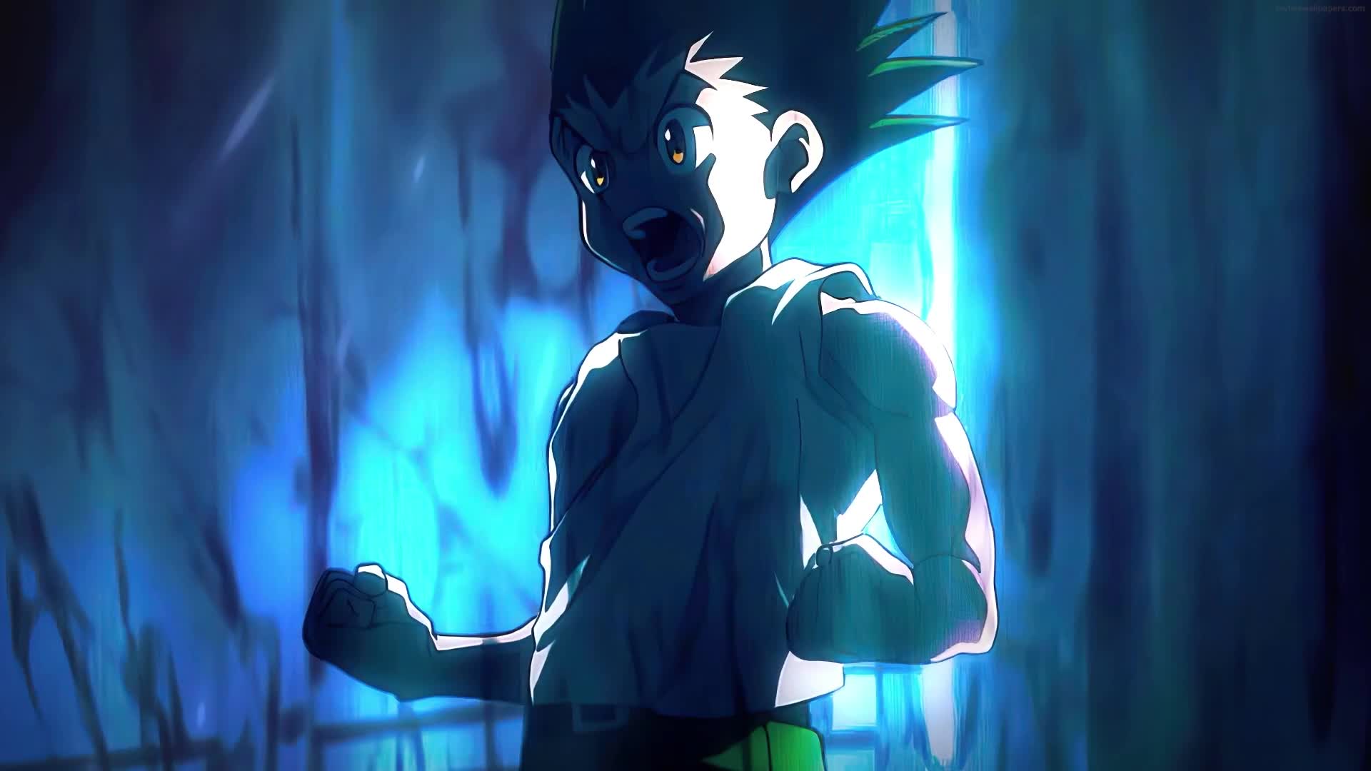 PC Animated Hunter x Hunter Live Wallpaper