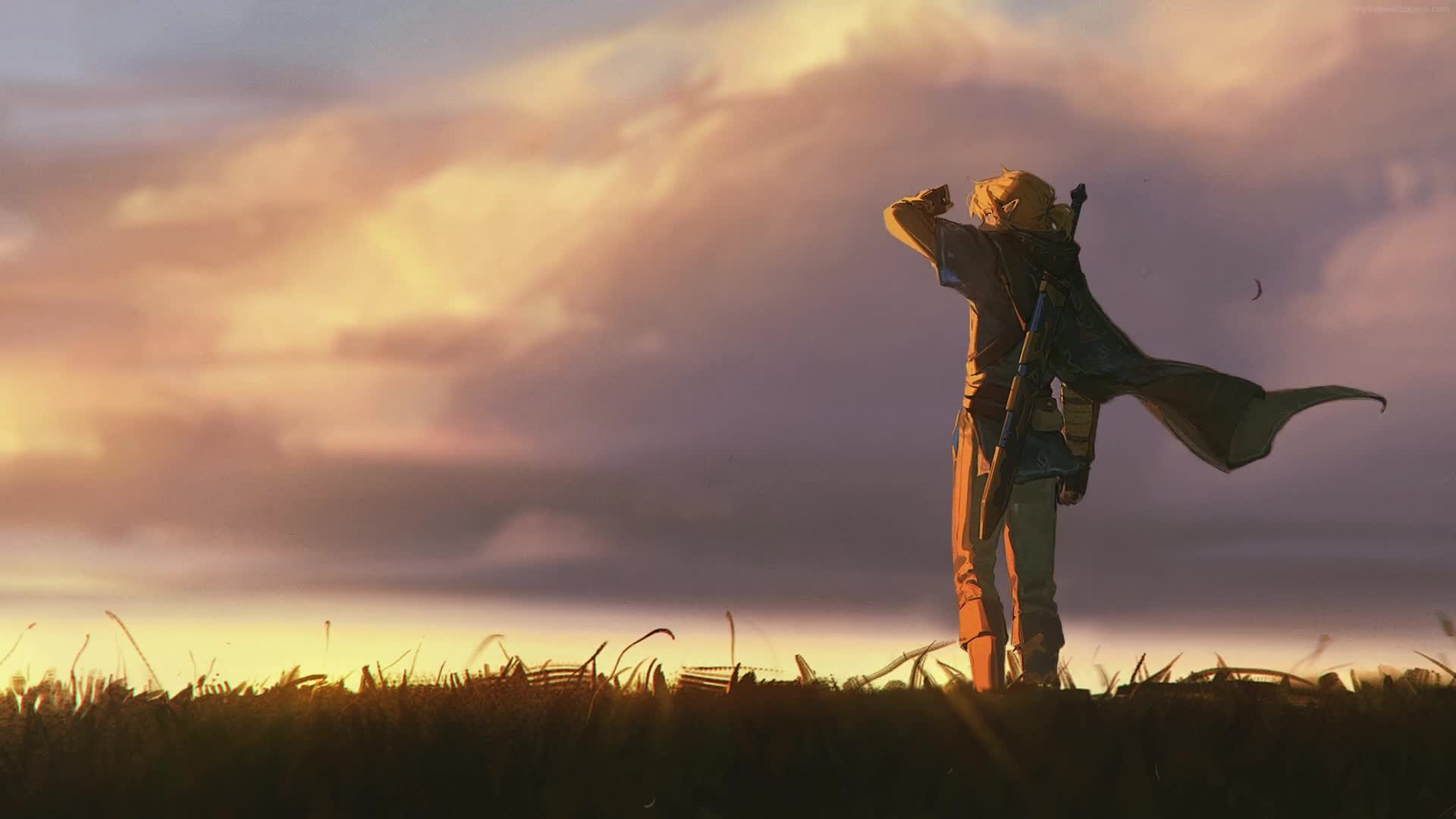 PC Animated Link Sunset Legend of Zelda Live Wallpaper