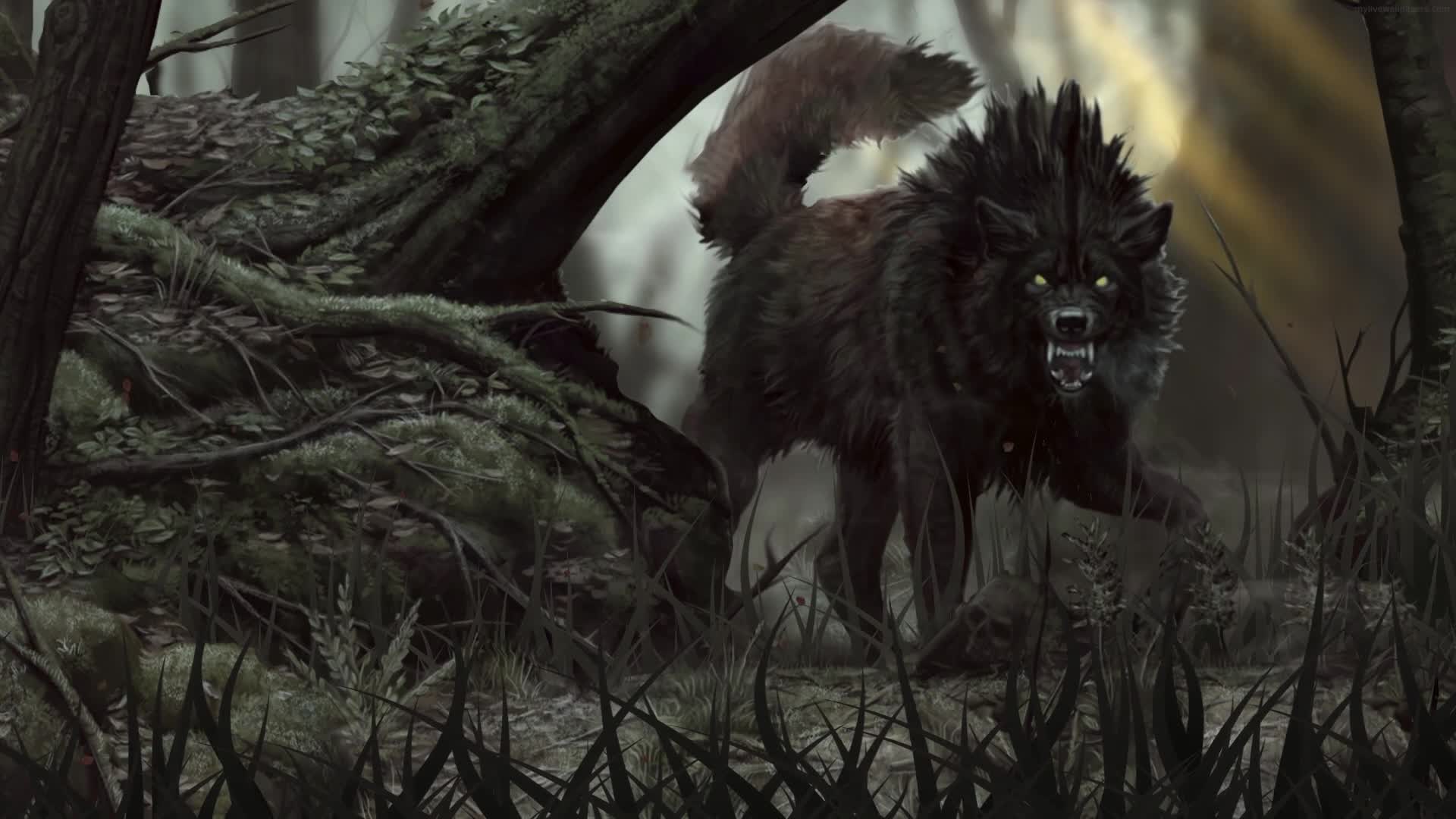 PC Animated Lone Wolf Live Wallpaper