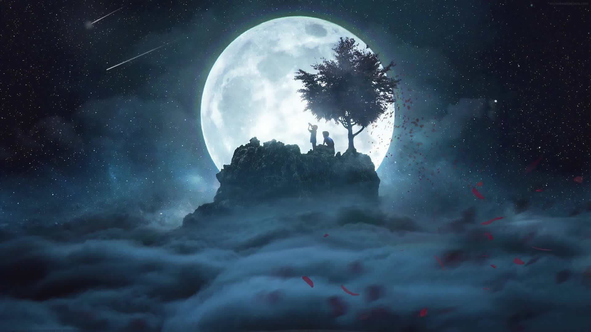 PC Animated Star Gazers Live Wallpaper