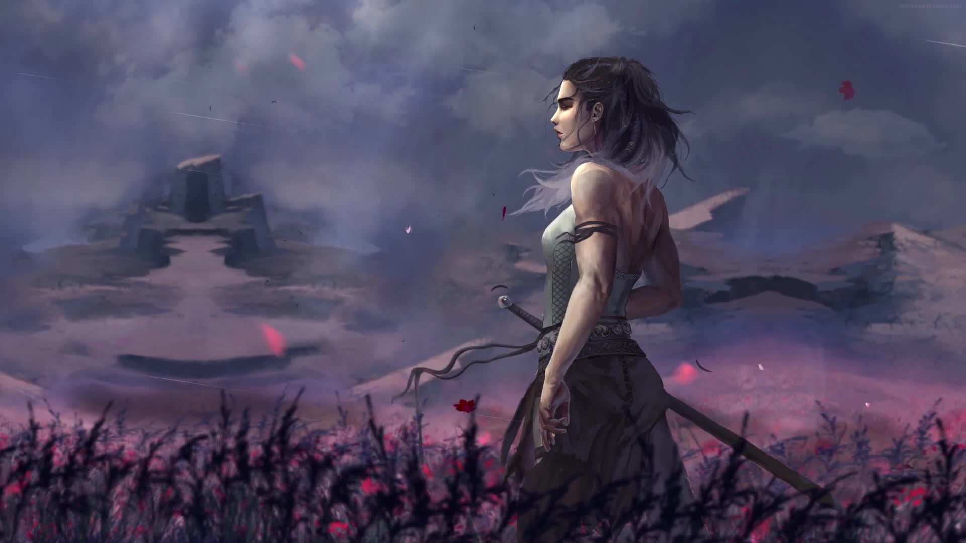 PC Animated Warrior Field Live Wallpaper