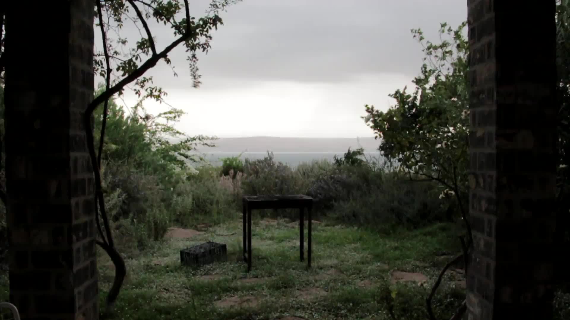 Backyard Windows Animated Wallpaper