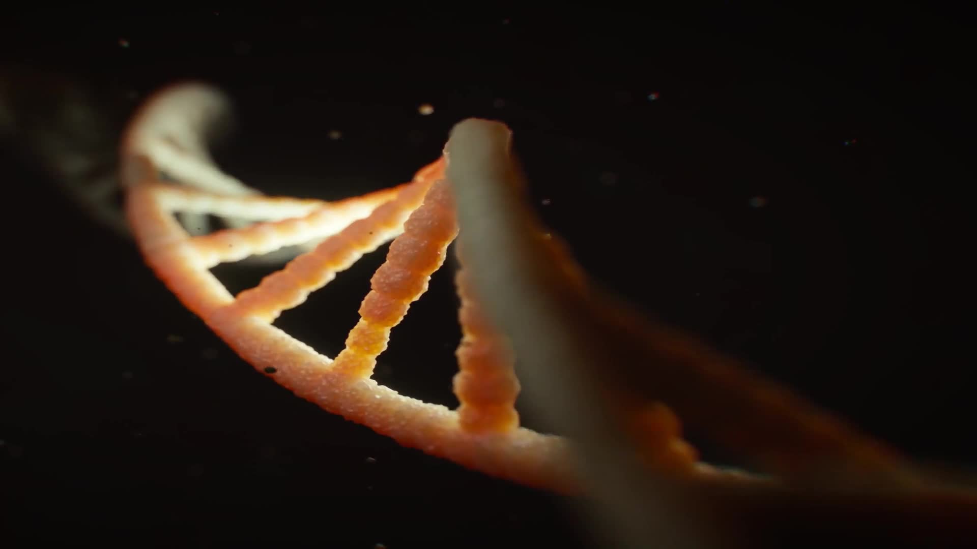 Dna Windows Animated Wallpaper