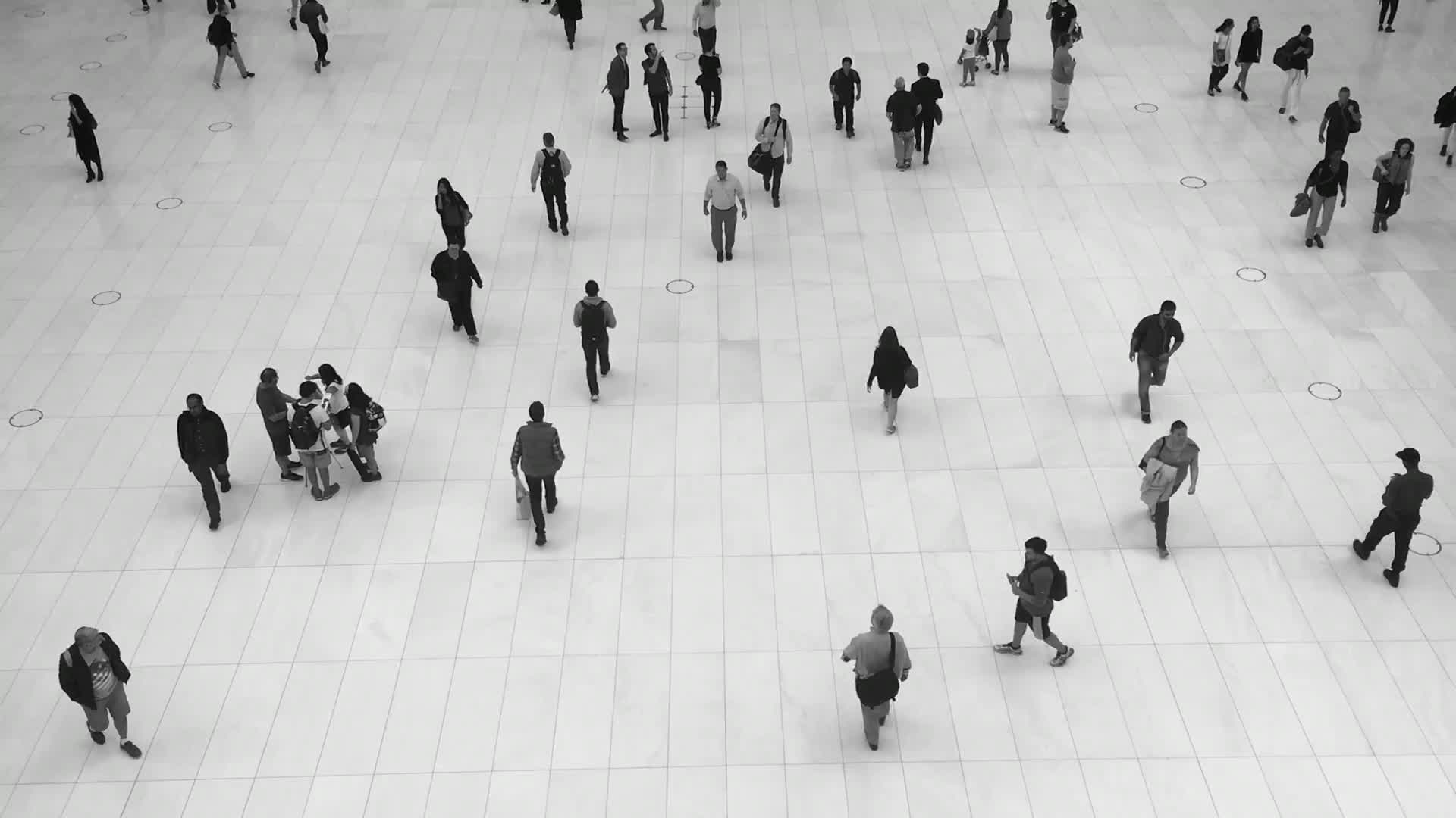 Ground Zero PC Live Wallpaper