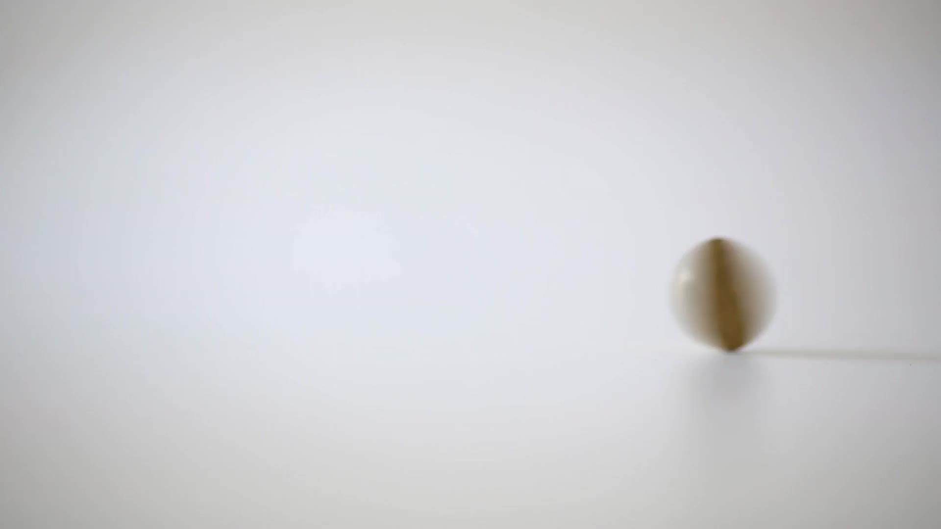 Head or Tails Windows Animated Wallpaper