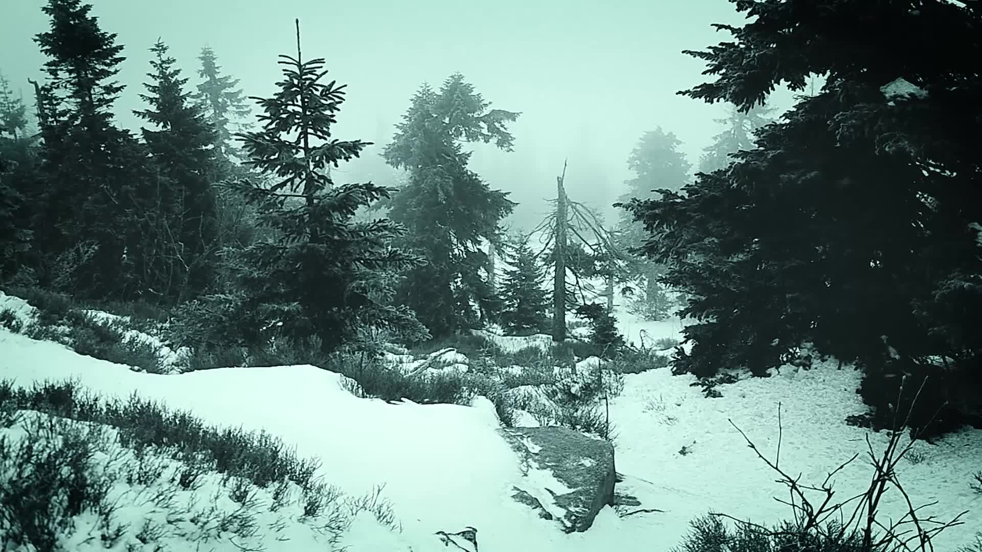 Mountains Forest Windows Animated Wallpaper